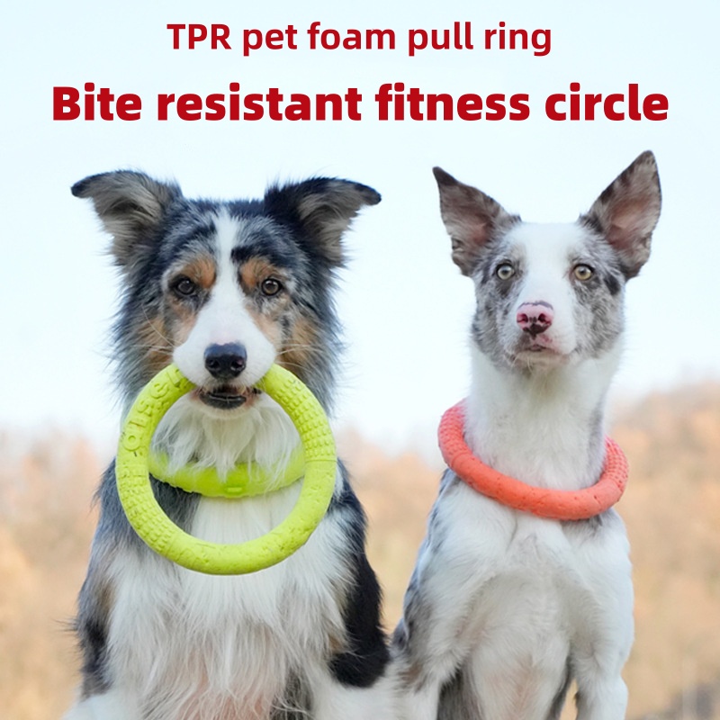 Flying Disc Dog Training Toy - Chew Resistant EVA Dog Flyer Waterproof