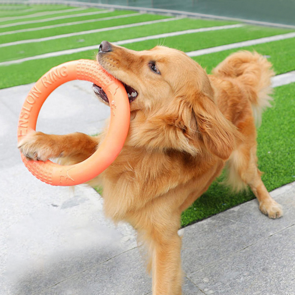 1pc Orange Dog Toys Pet Flying - Suction Cup Dog Tug Toy review and price