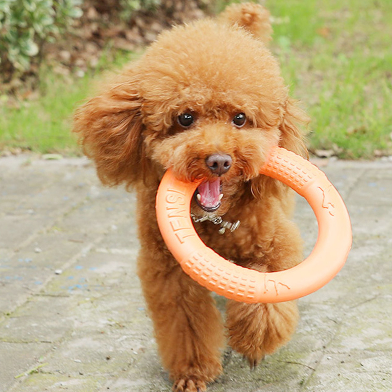 1pc Orange Dog Toys Pet Flying - Suction Cup Dog Tug Toy review and price