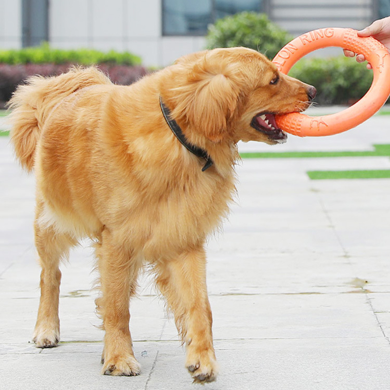 1pc Orange Dog Toys Pet Flying - Suction Cup Dog Tug Toy review and price