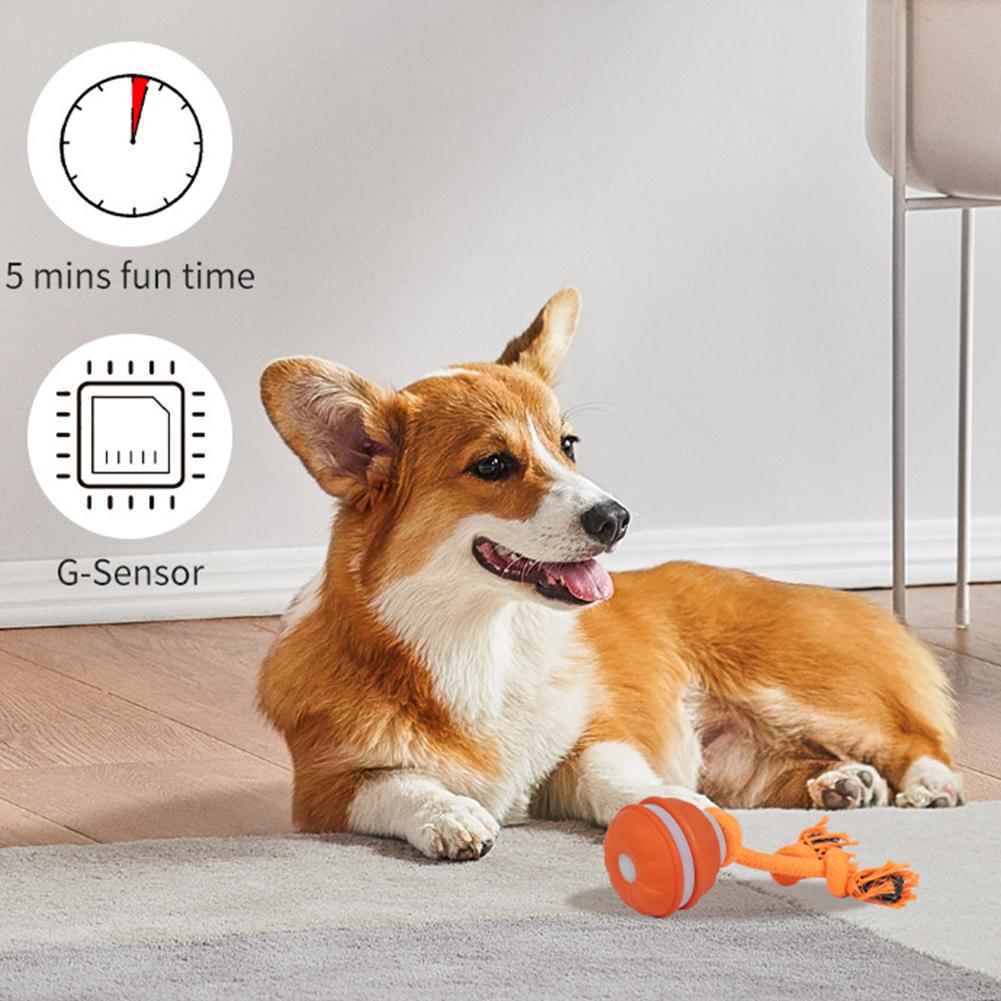 Pet Ball for Dogs Interactive  - Automatic Moving Dog Ball review and price