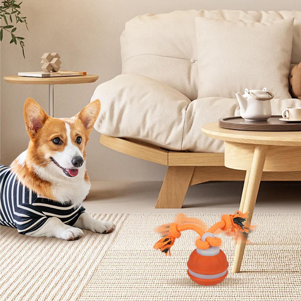 Pet Ball for Dogs Interactive  - Automatic Moving Dog Ball review and price