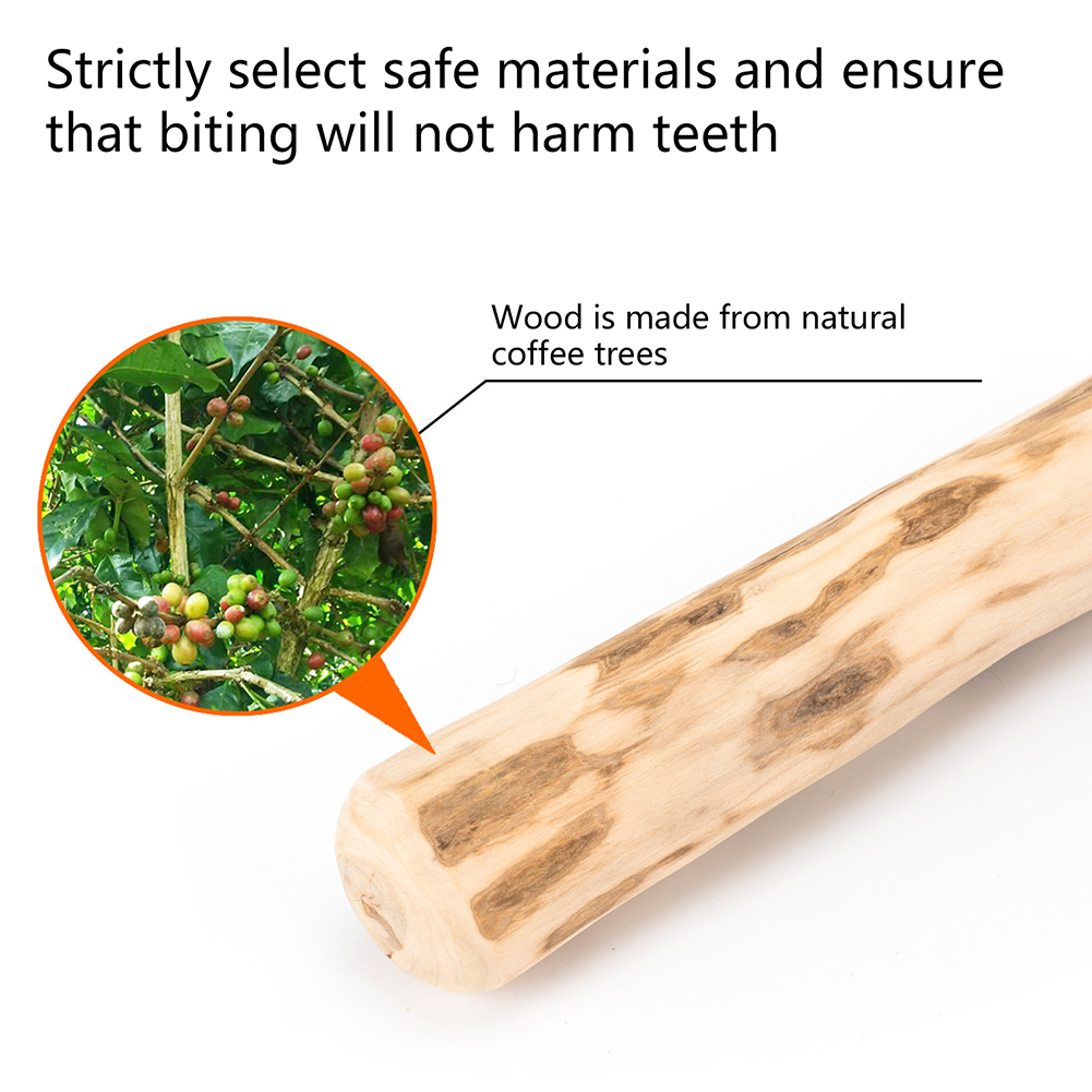 Sturdy Stick Dog Toy Bite-Resi - Suction Cup Dog Tug Toy review and price