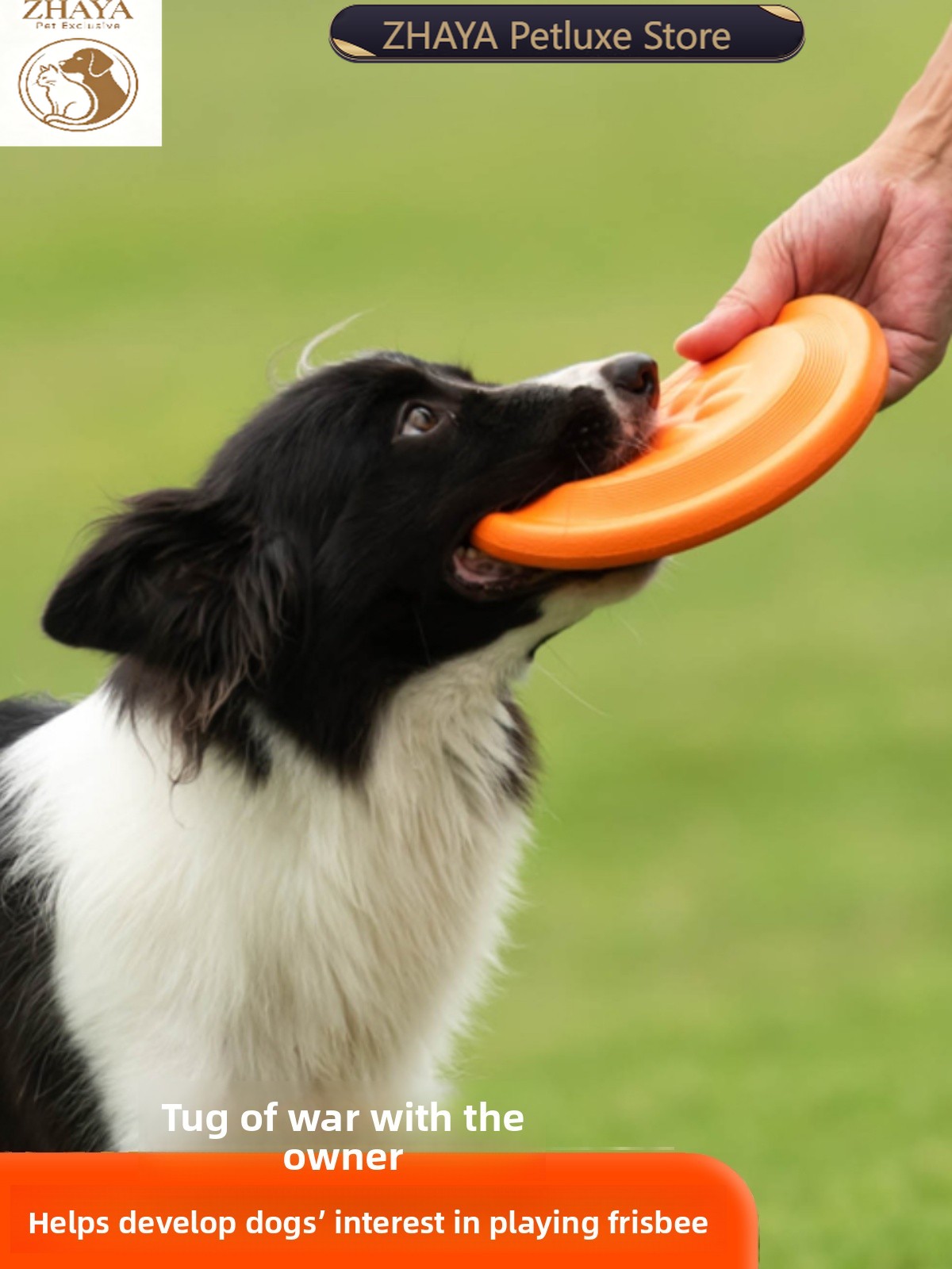 Dog Flying Disc Soft Durable B - Flying Disc Dog Training Toy review and price