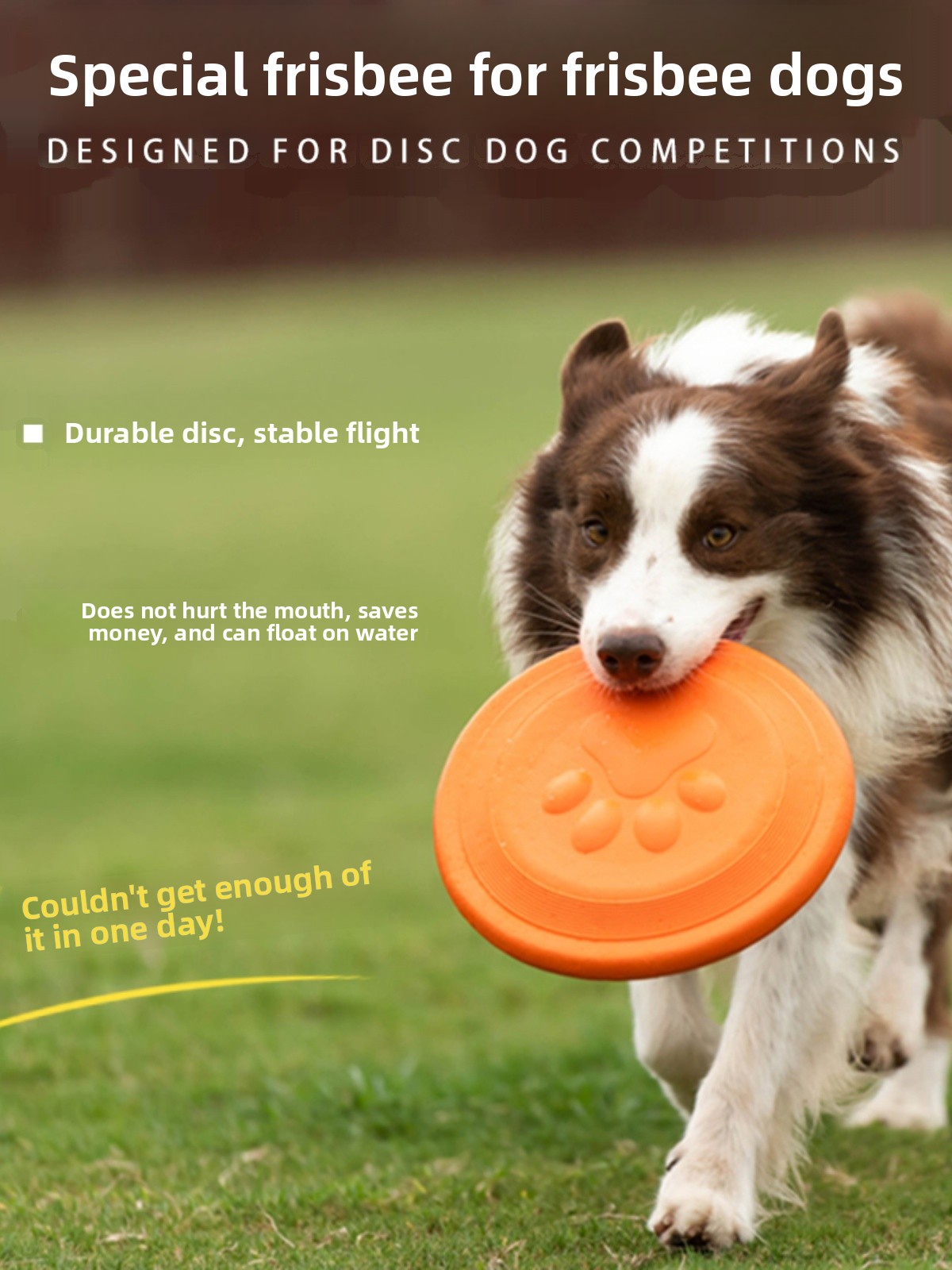 Dog Flying Disc Soft Durable B - Flying Disc Dog Training Toy review and price