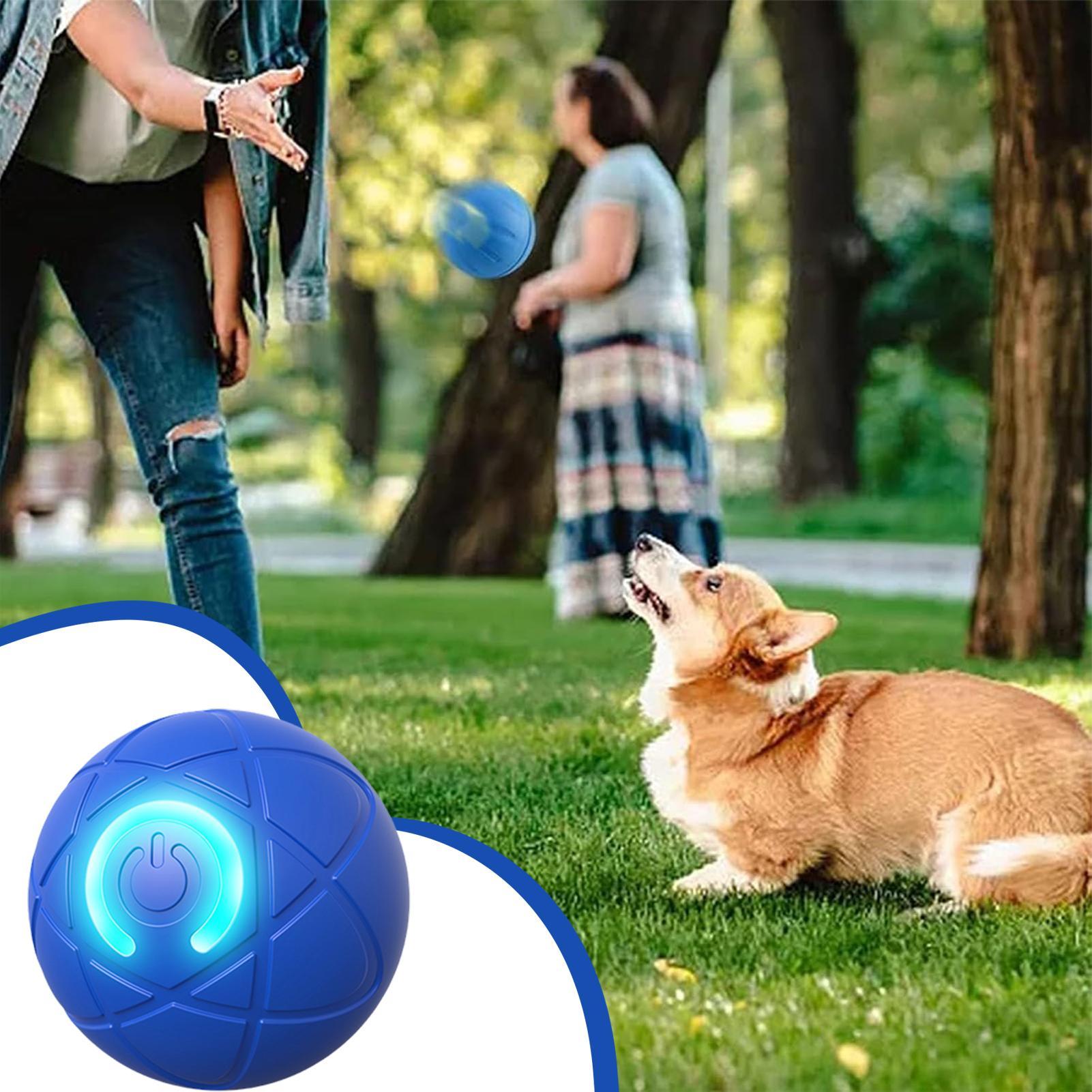Smart Interactive Dog Toys for - Automatic Moving Dog Ball review and price