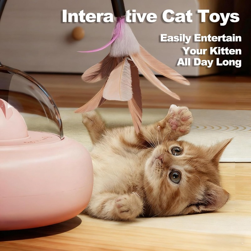 Low Noise 2 in 1 Rechargeable  - Laser Pointer Cat Toy Automatic review and price