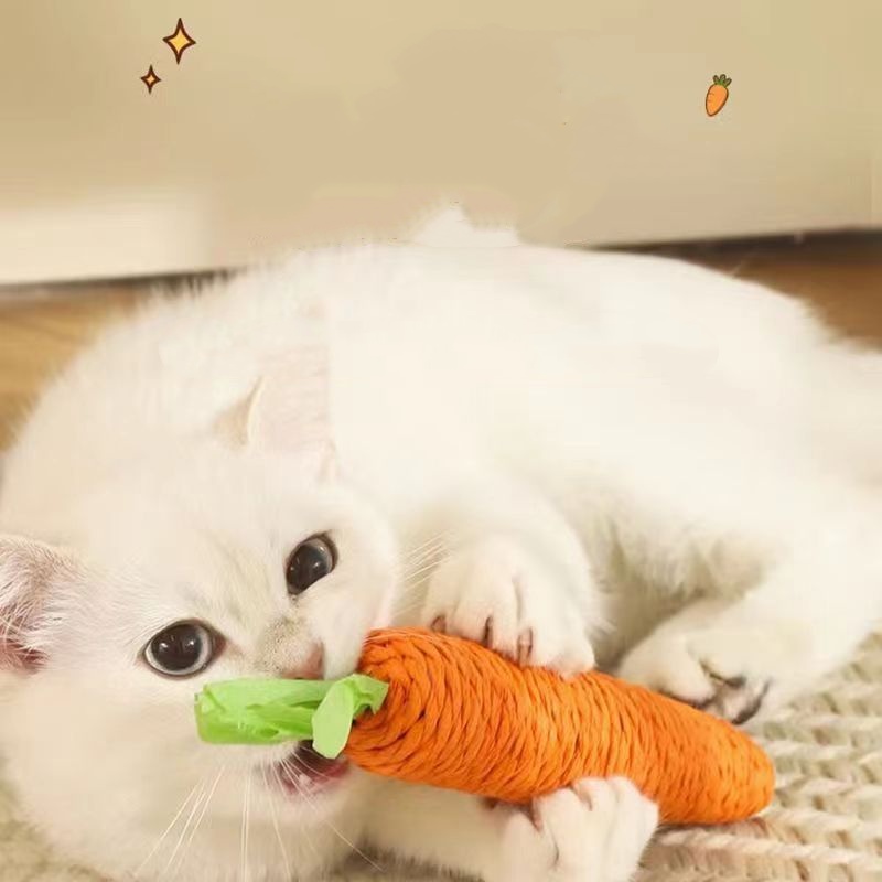 Fun Cat Teething Stick Sound C - Snuffle Mat For Dogs review and price