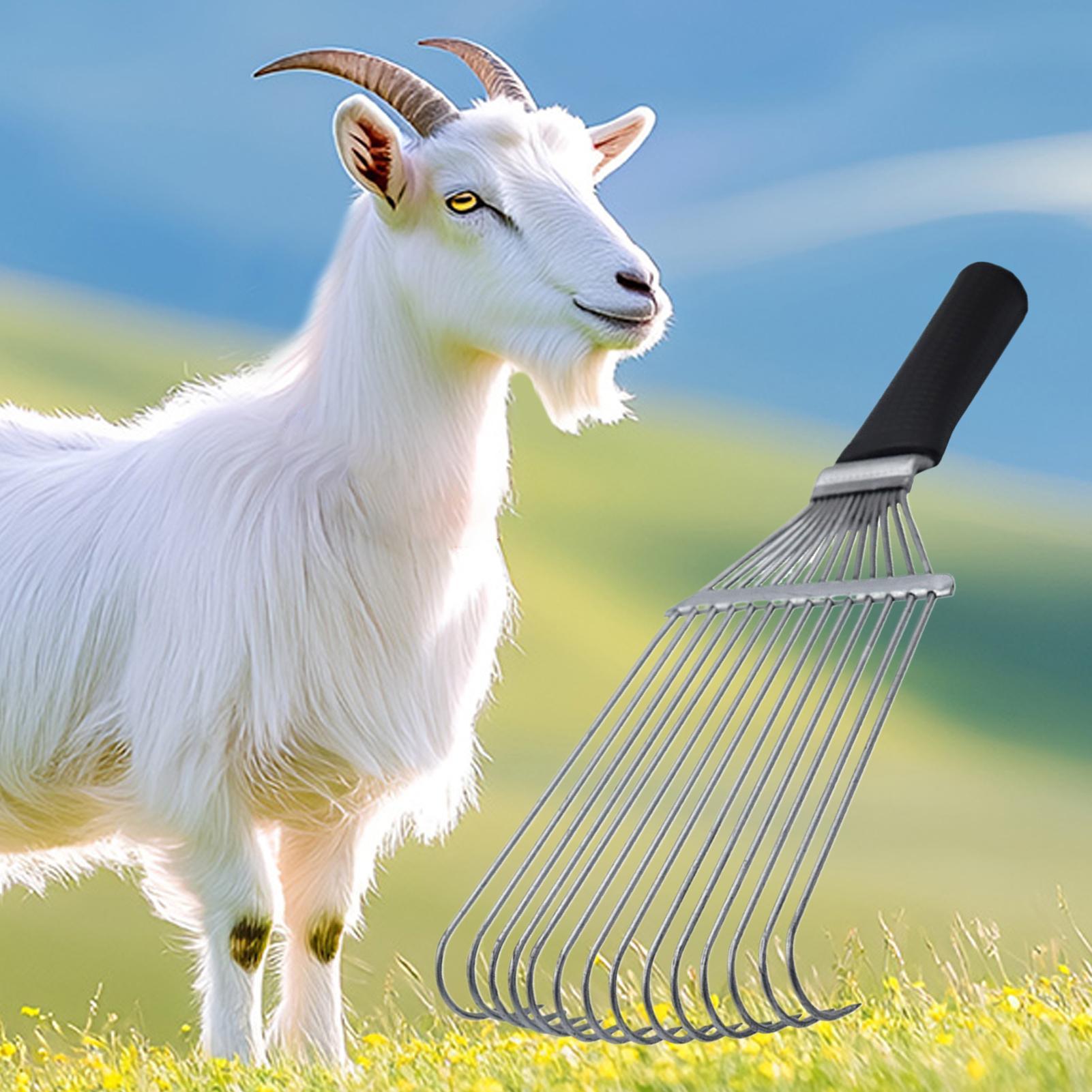Undercoat Grooming Rake Underc - Pet Grooming review and price