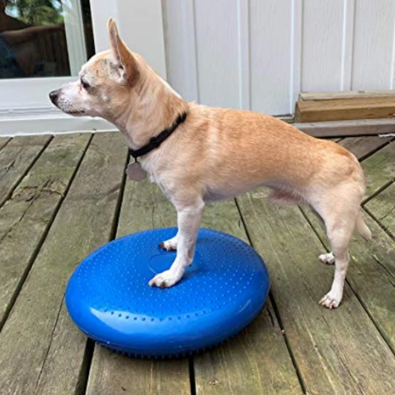 Dogs Training Aids Balance Fly - Flying Disc Dog Training Toy review and price