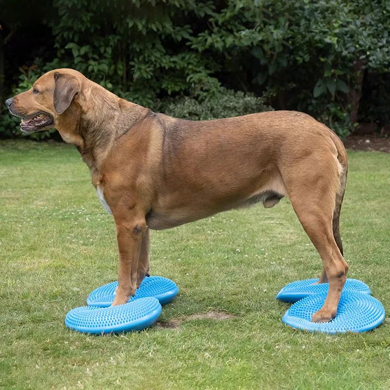 Dogs Training Aids Balance Fly - Flying Disc Dog Training Toy review and price