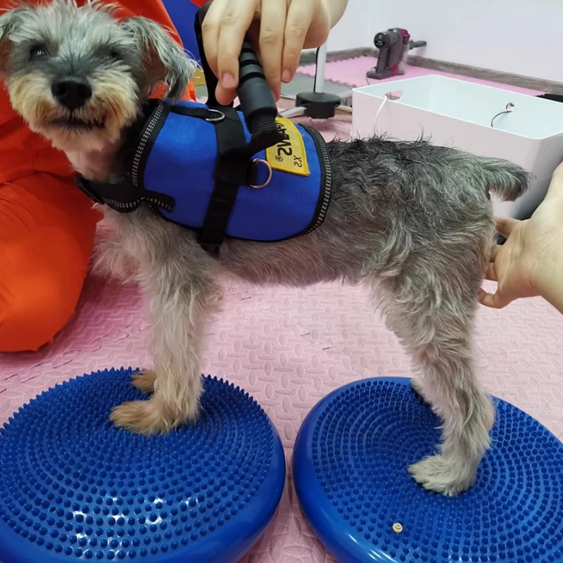 Dogs Training Aids Balance Fly - Flying Disc Dog Training Toy review and price