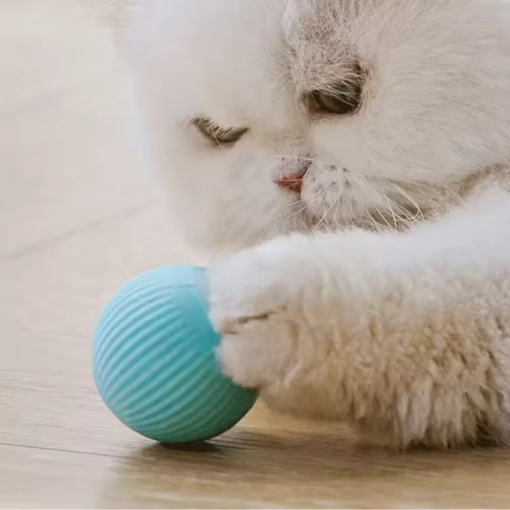 Automatic Moving Ball for Dog  - Automatic Moving Dog Ball review and price
