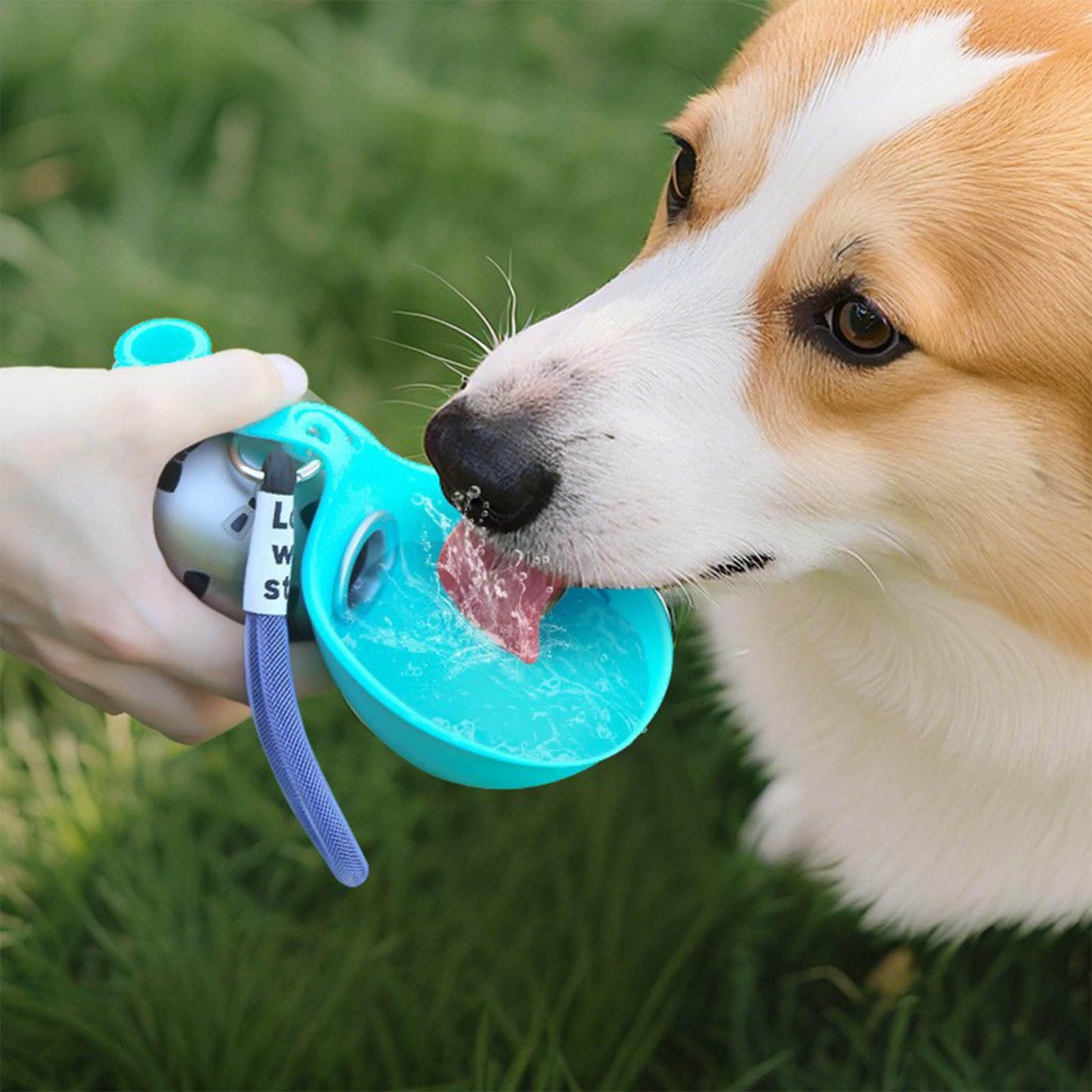 ACG Goods Portable Silicone Pe - Pet Feeders review and price