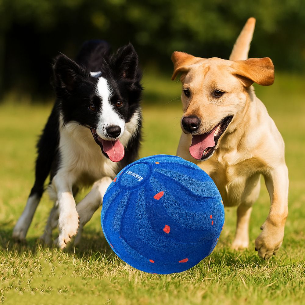 Bite Resistant Smart Dog Toy B - Automatic Moving Dog Ball review and price