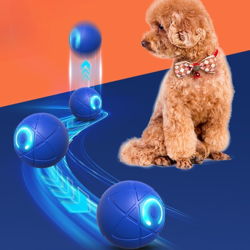 Smart Dog Toy Ball USB Automat - Suction Cup Dog Tug Toy review and price