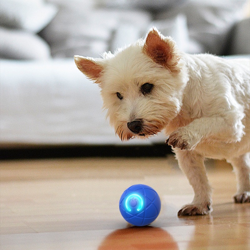 Smart Dog Toy Ball USB Automat - Suction Cup Dog Tug Toy review and price
