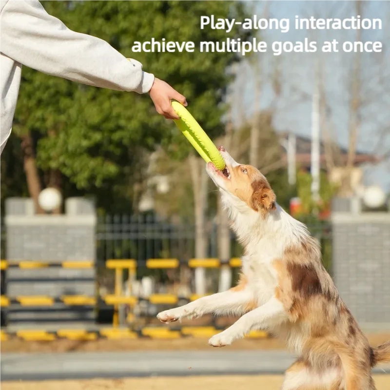Chew Resistant EVA Dog Flyer W - Flying Disc Dog Training Toy review and price