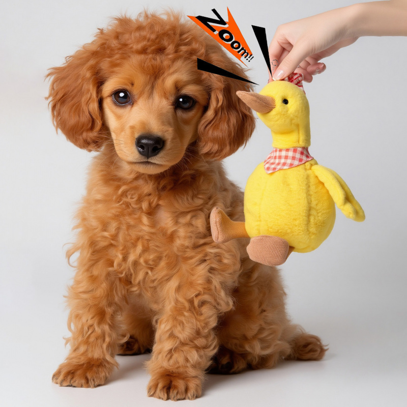 Plush sound-making toy for pet - Dog Toys review and price