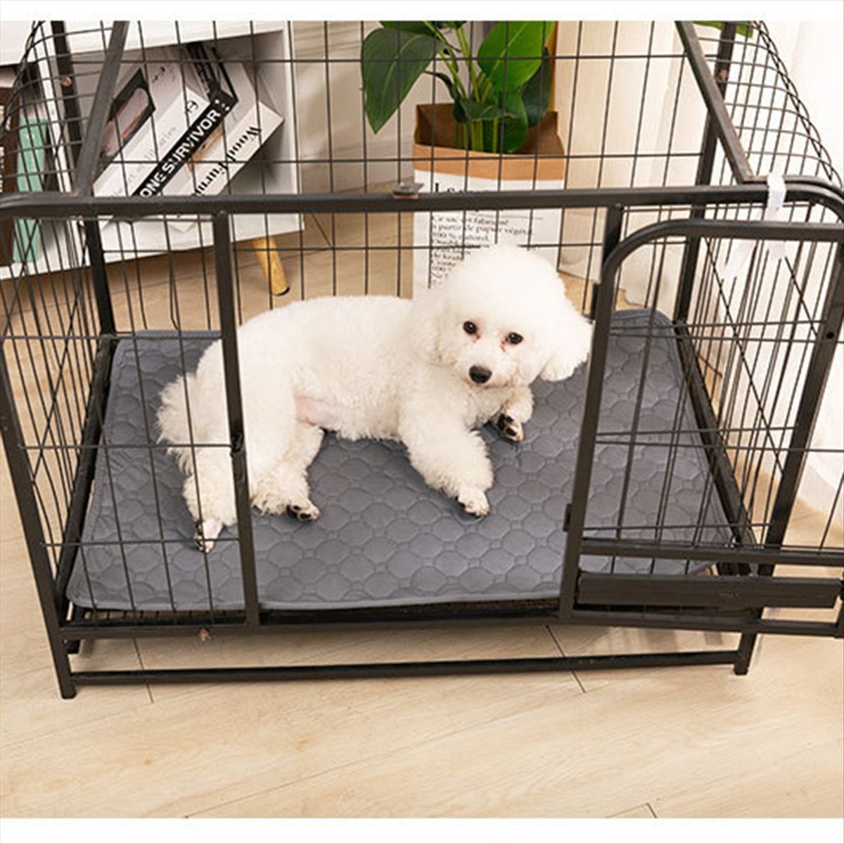 *A14E Reusable Blanket for Dog - Pet Beds review and price