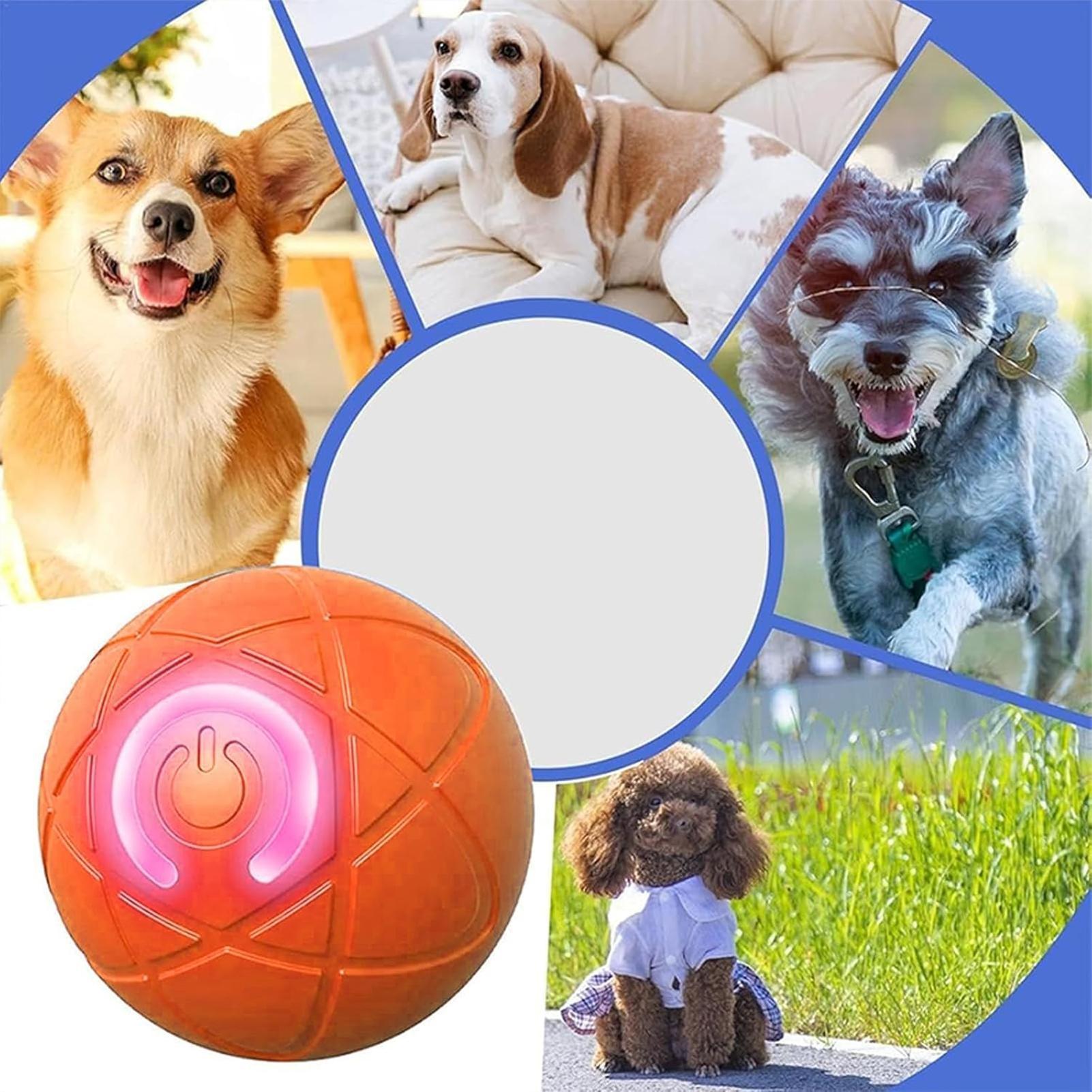 Smart Dog Toys Ball Electronic - Automatic Moving Dog Ball review and price