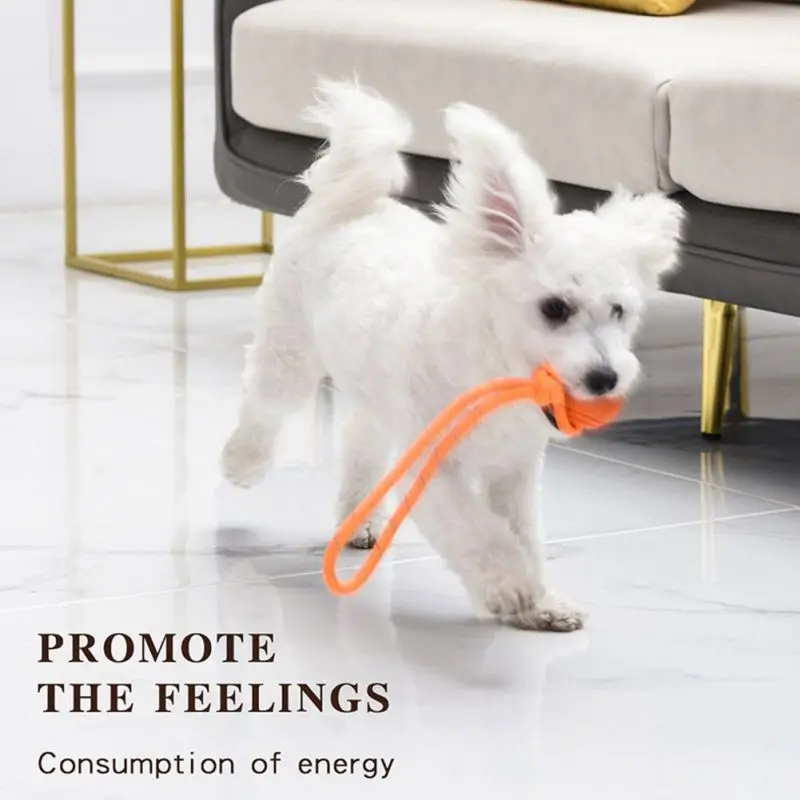 Dog Training Ball on Rope Cott - Suction Cup Dog Tug Toy review and price