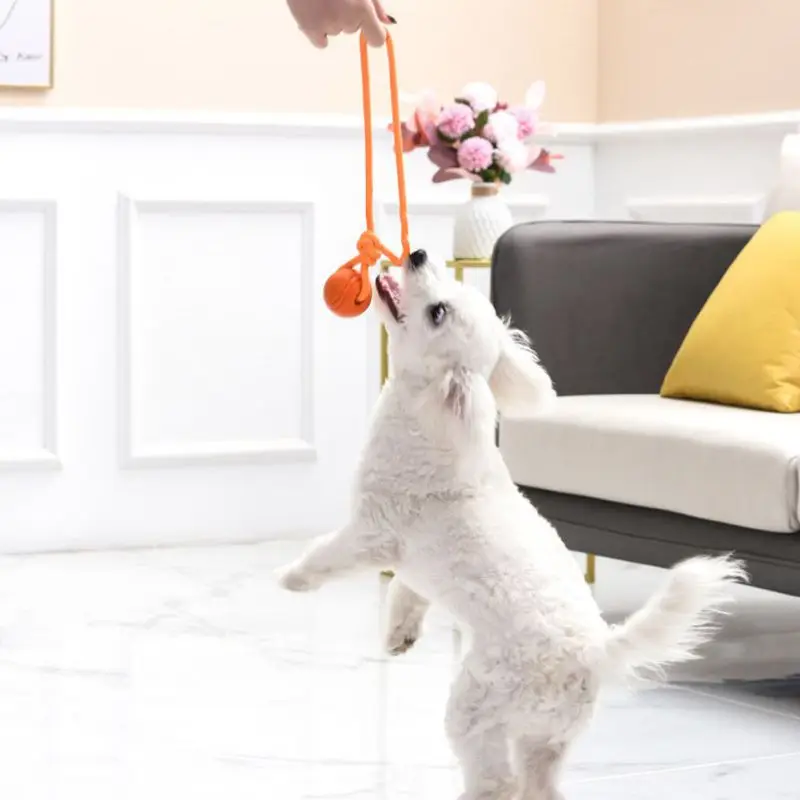 Dog Training Ball on Rope Cott - Suction Cup Dog Tug Toy review and price