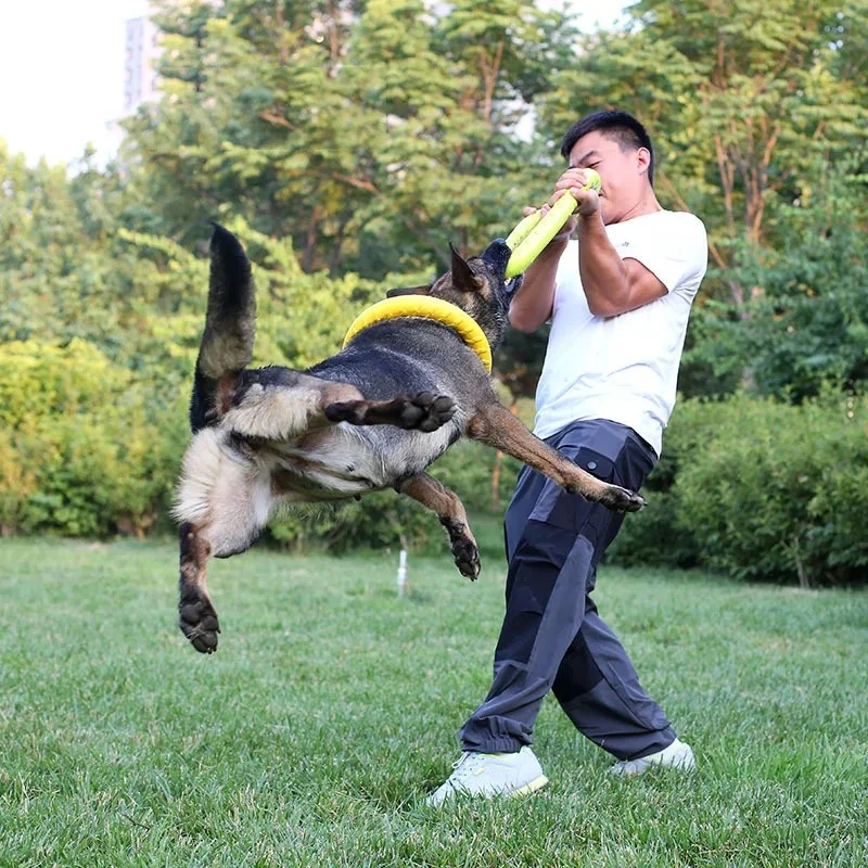 Dog Toys Pet Flying Discs EVA  - Flying Disc Dog Training Toy review and price