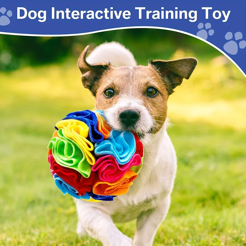 Interactive Dog Toys Snuffle B - Snuffle Mat For Dogs review and price