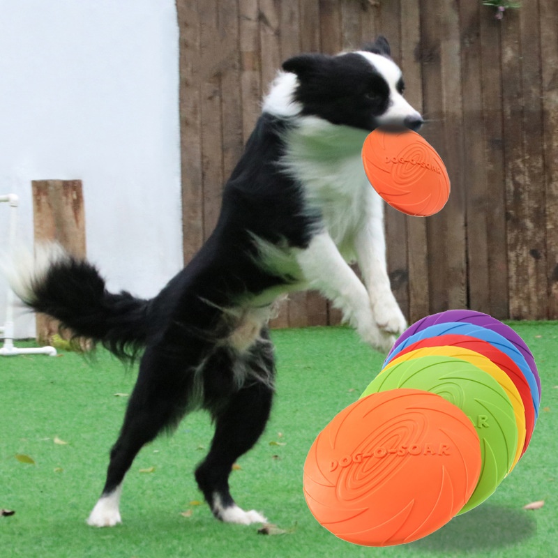 Interactive Silicone Flying Sa - Flying Disc Dog Training Toy review and price