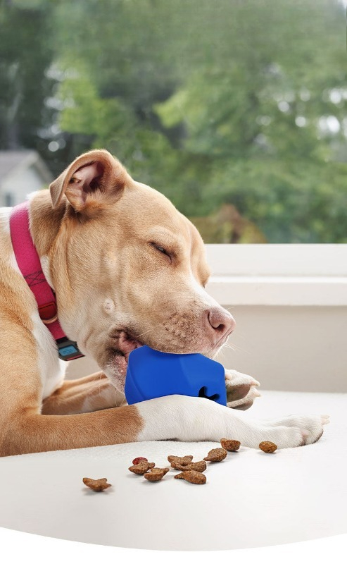 Durable Rubber Dog Treat Dispe - Rubber Treat Dispensing Dog Toy review and price