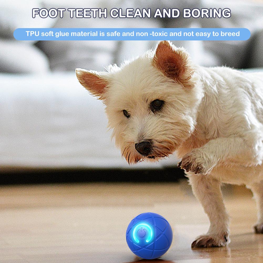Electronic Interactive Pet Toy - Automatic Moving Dog Ball review and price
