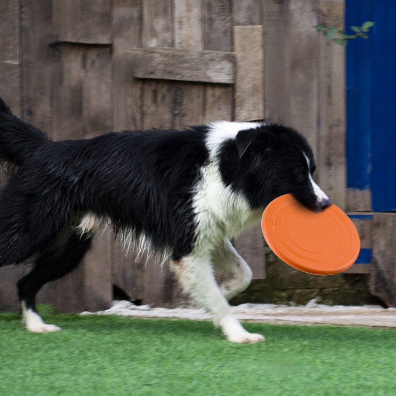Silicone Flying Saucer Funny D - Flying Disc Dog Training Toy review and price