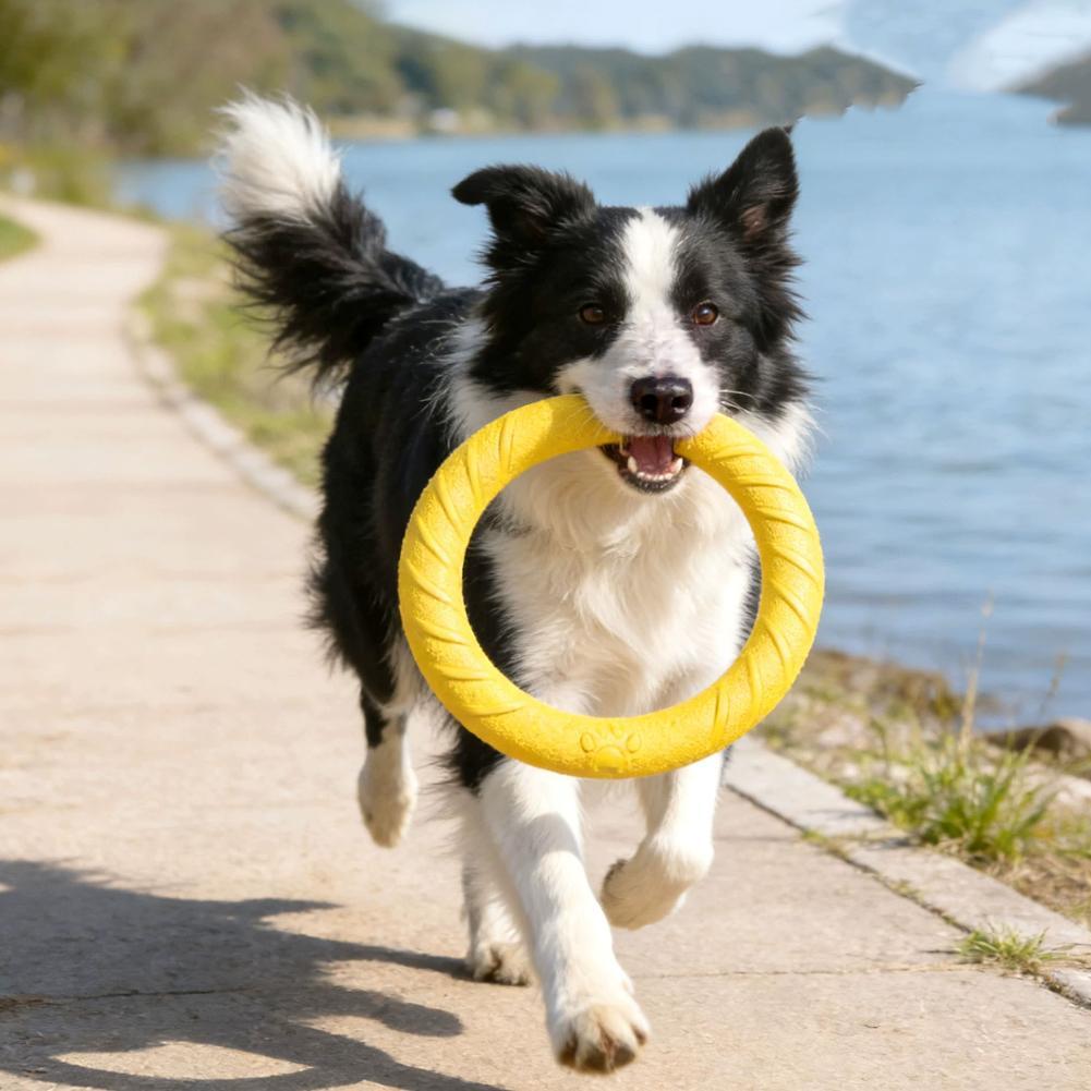 Dog Ring Toys Indestructible C - Suction Cup Dog Tug Toy review and price