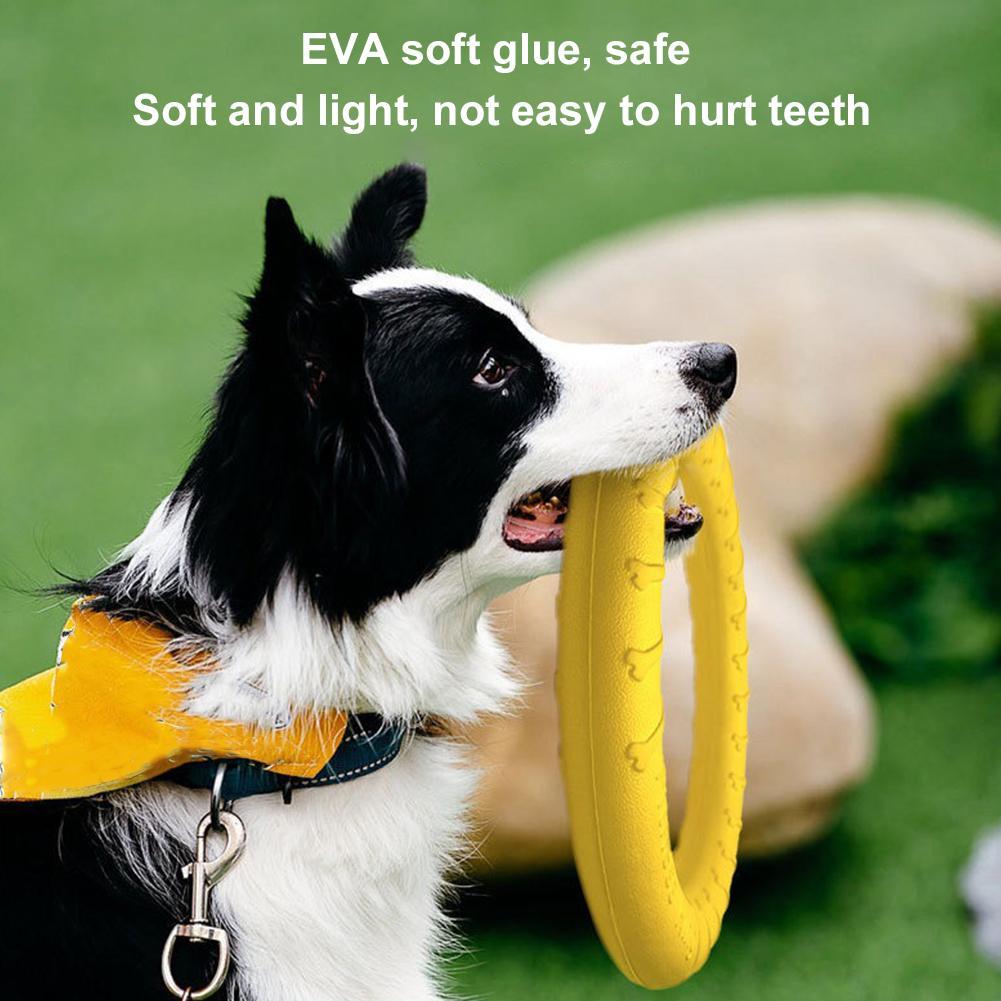 Dog Ring Toys Indestructible C - Suction Cup Dog Tug Toy review and price