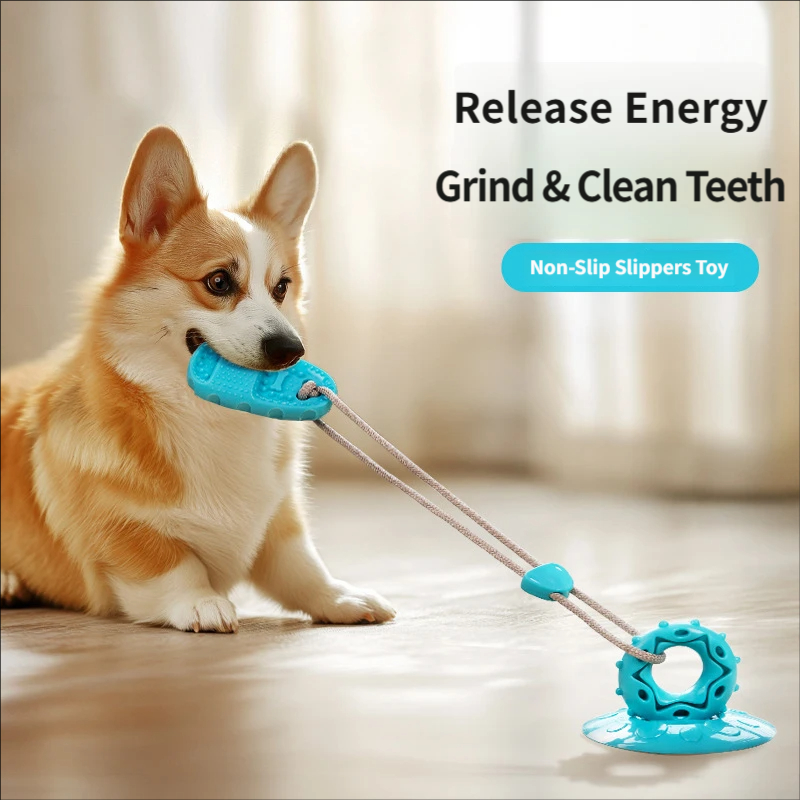 Suction Cup Dog Tug Toy Intera - Suction Cup Dog Tug Toy review and price