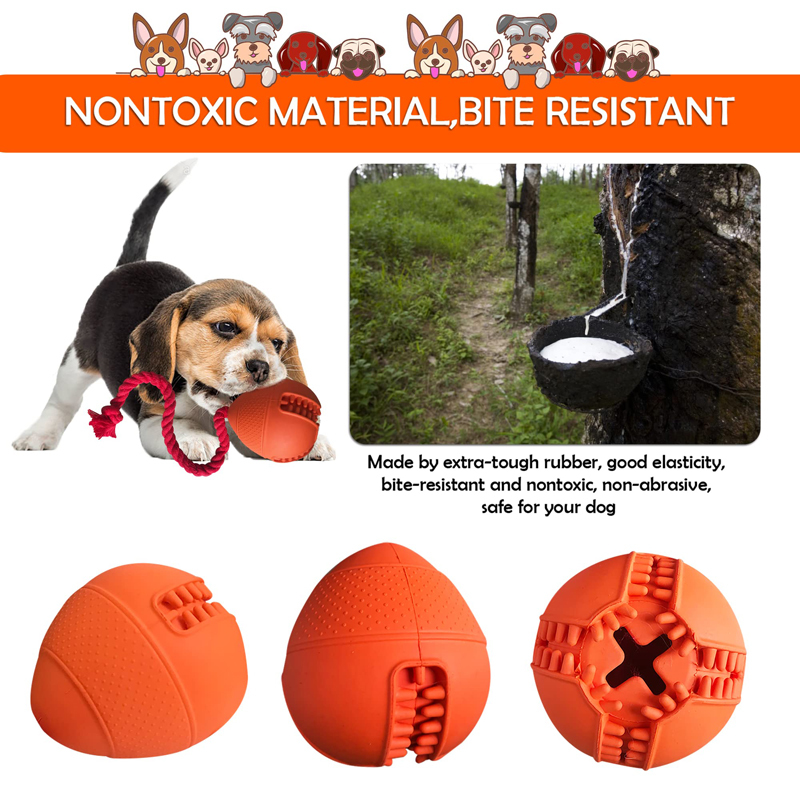 Benepaw Interactive Dog Toys E - Rubber Treat Dispensing Dog Toy review and price