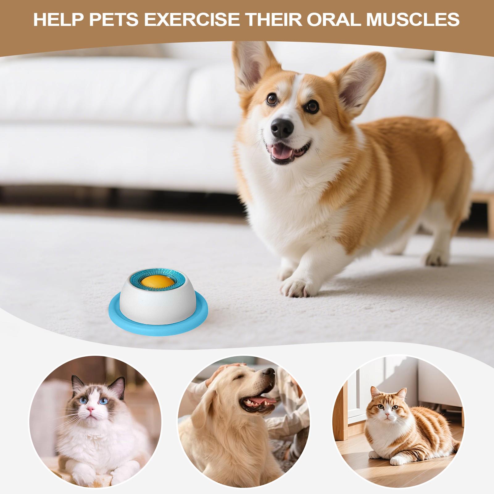 Pet Feeding Accessories Dog Tr - Dog Puzzle Feeder Toy review and price